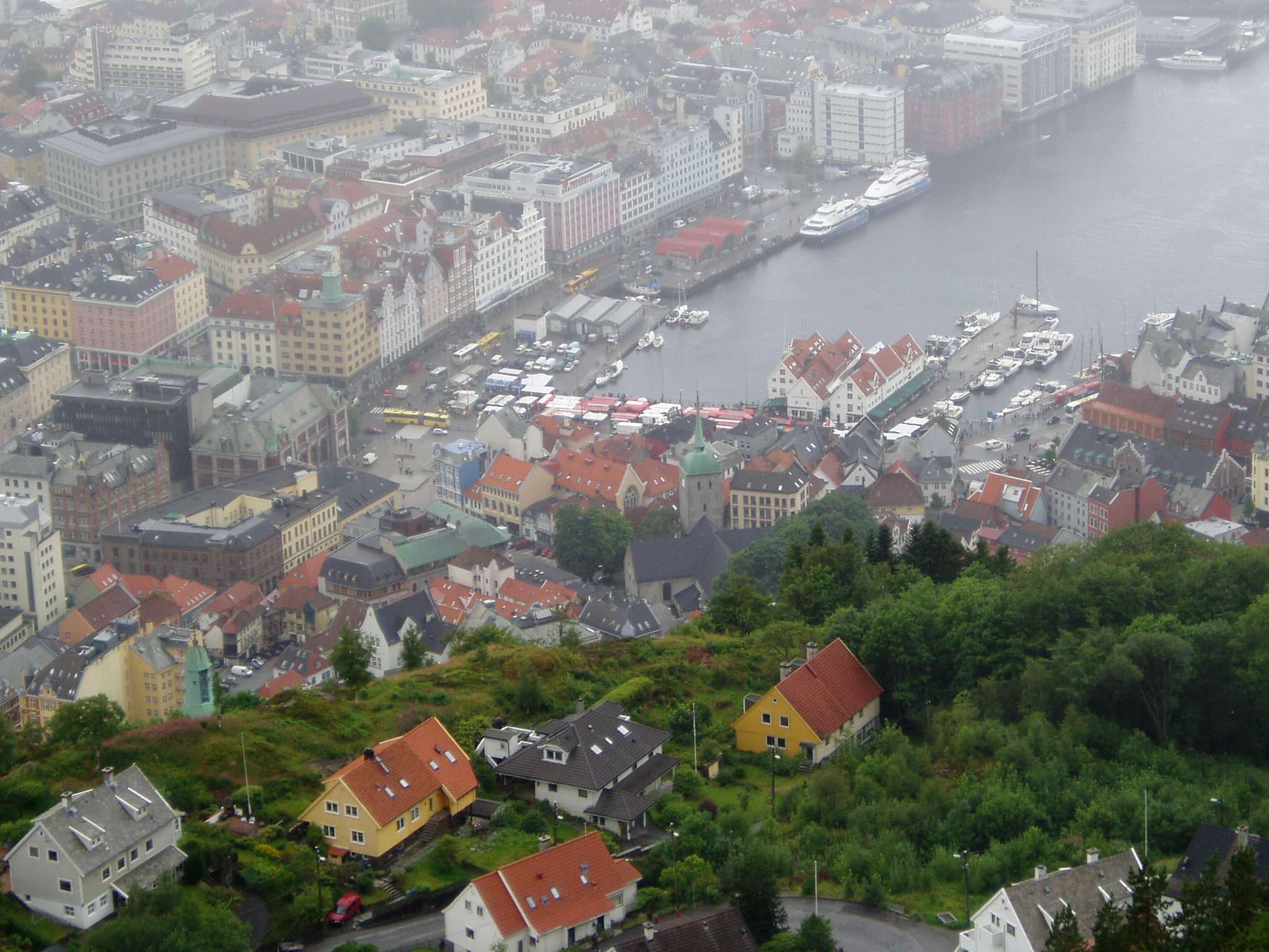Bergen. Excursión de cruceros por libre, Cruise-Norway (10)